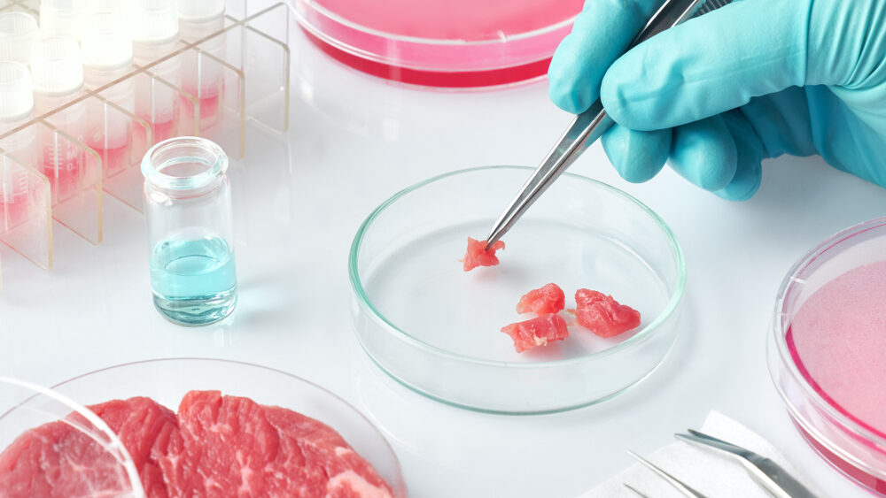 Close up of a lab technician performing the process of cellular agriculture to make lab-grown meat